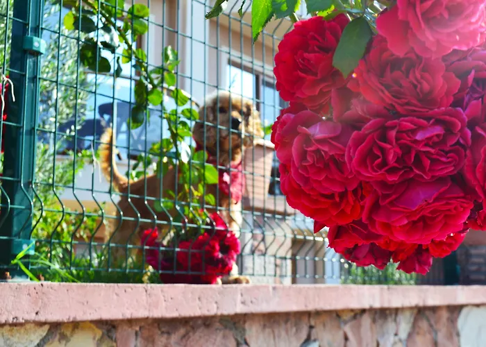 Hotel Cunda Giritlioglu Adult Only 2*