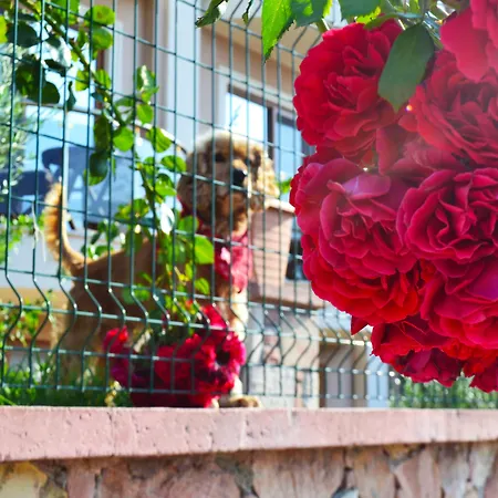 Готель Cunda Giritlioglu Adult Only 2*